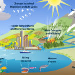 What we do, right now, to tackle climate change could | Scrap Vendor